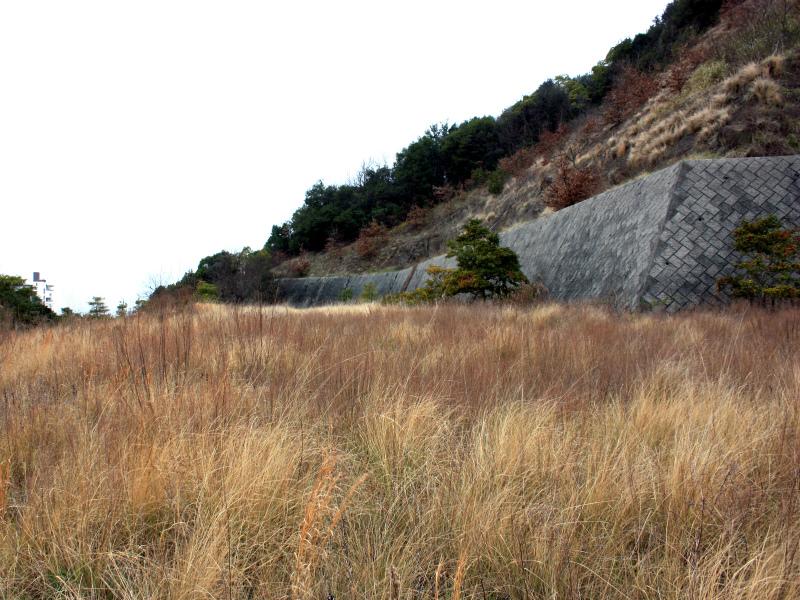 Local land photo
