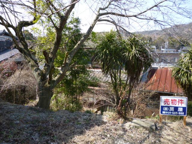 Local land photo. Local (February 2013) Shooting