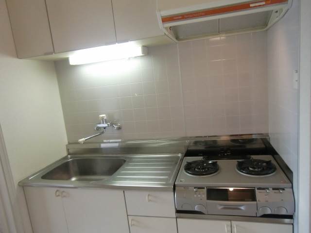 Kitchen. Two-burner stove in the kitchen ☆