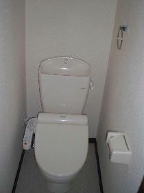 Toilet. Toilet