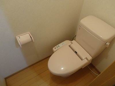 Toilet. With Washlet!