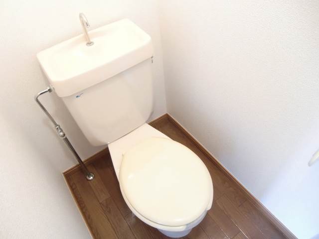 Toilet. Clean toilet ☆