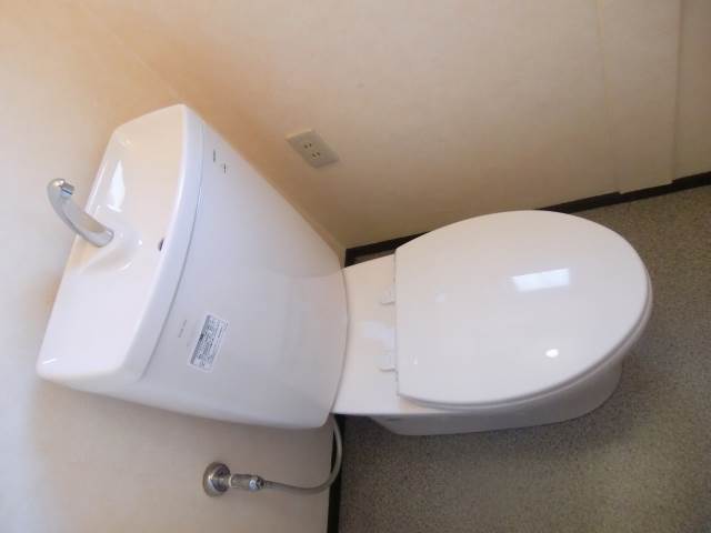 Toilet. Flush toilet ☆