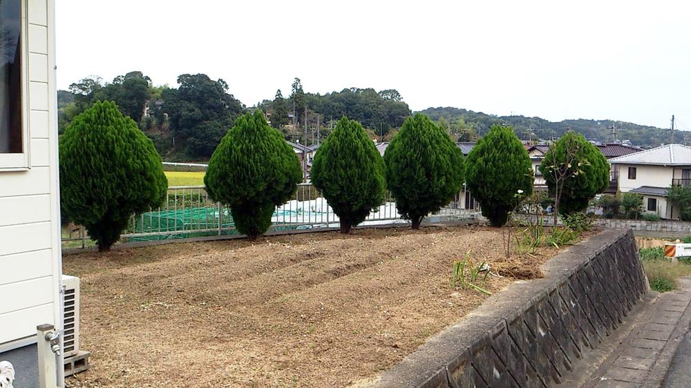 Garden. Private garden on site