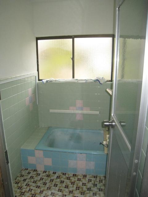 Bathroom. Indoor (March 2012) shooting