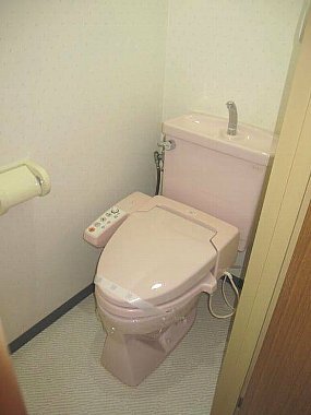 Toilet.  ☆ It comes with Wishu let ☆