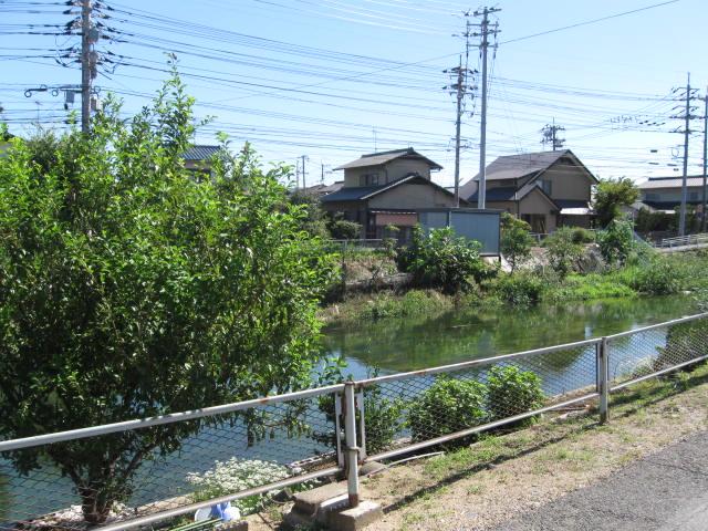 Local land photo