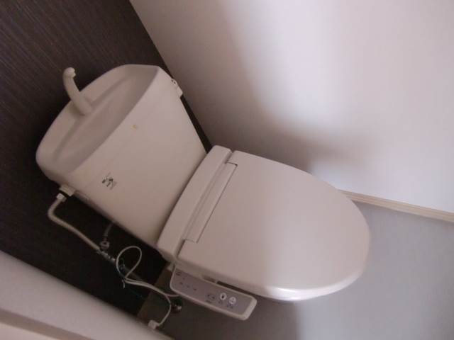 Toilet. Bidet with toilet ☆