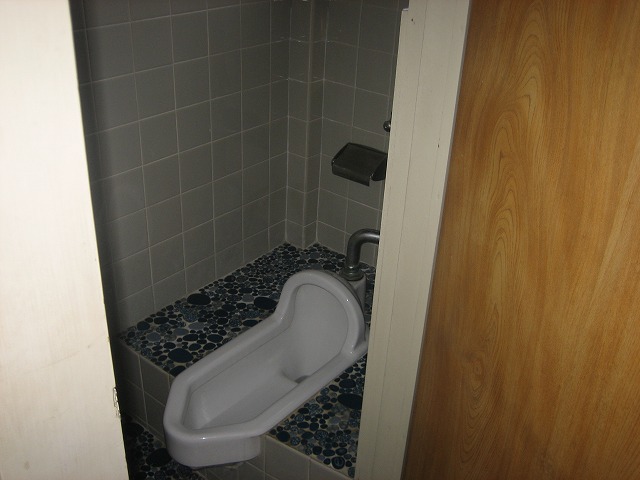 Toilet. Japanese style flush toilet