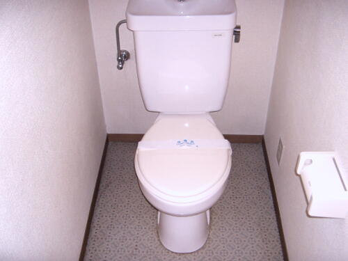 Toilet. Just good small toilet ☆