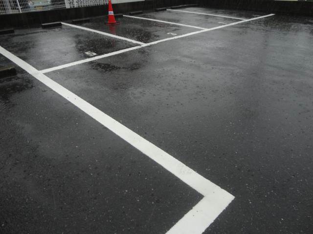 Parking lot. Parking spacious ☆