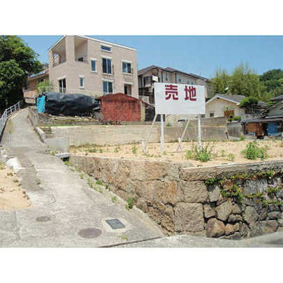 Local land photo
