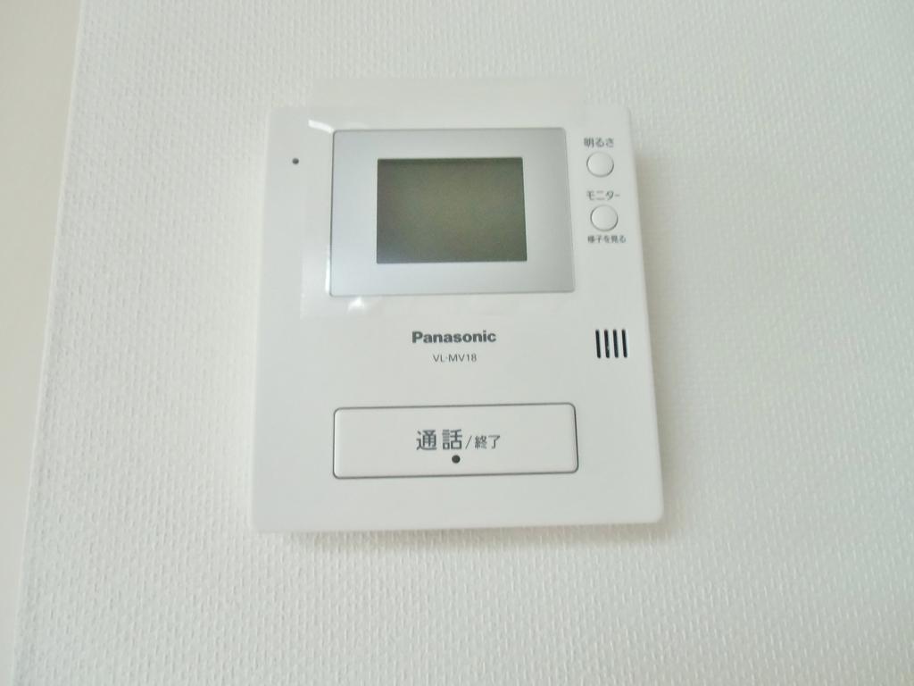Security. Monitor with intercom