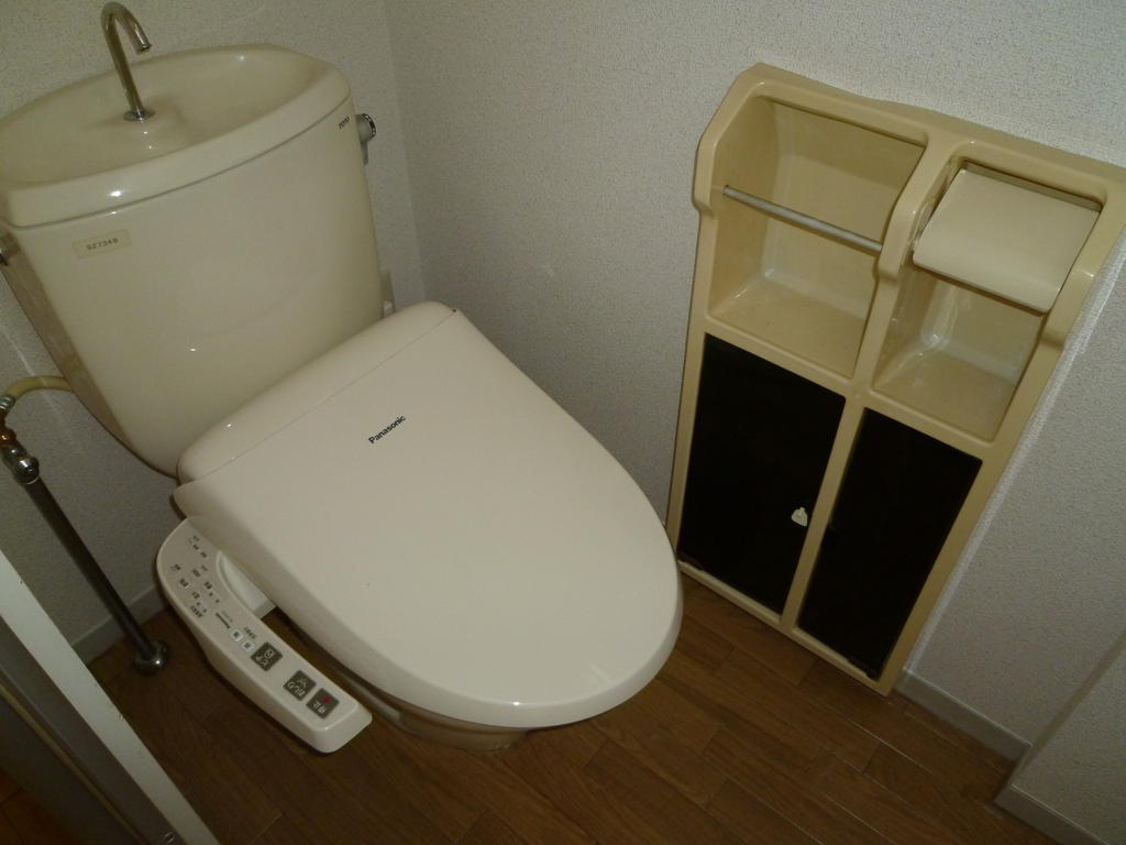 Toilet. New hot water washing toilet seat
