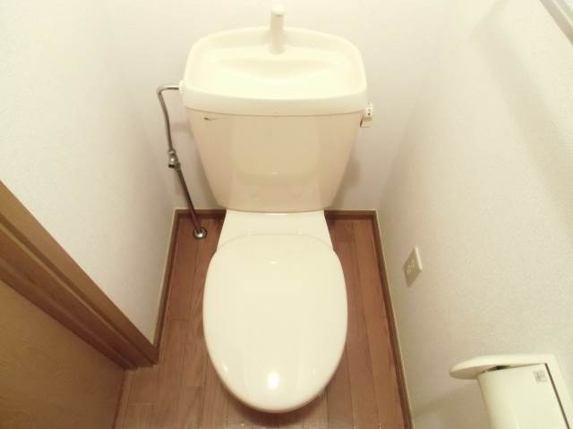 Toilet.  ■  □ It is a flush toilet!  □  ■