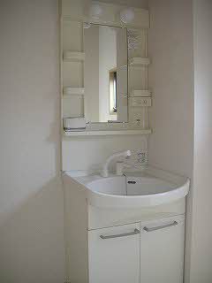 Washroom. Shampoo dresser