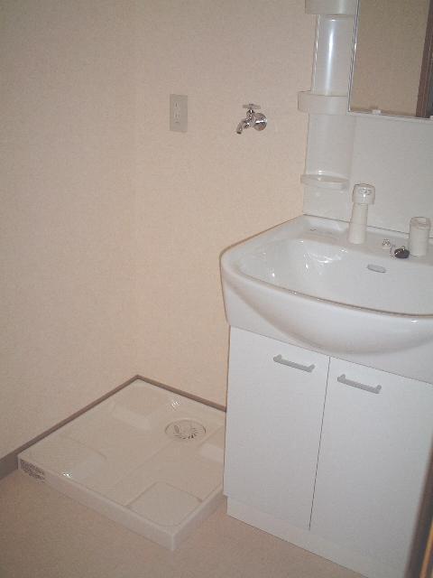 Washroom. Vanity with hand shower