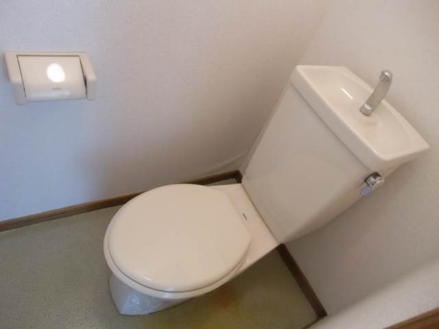 Toilet. White toilet!