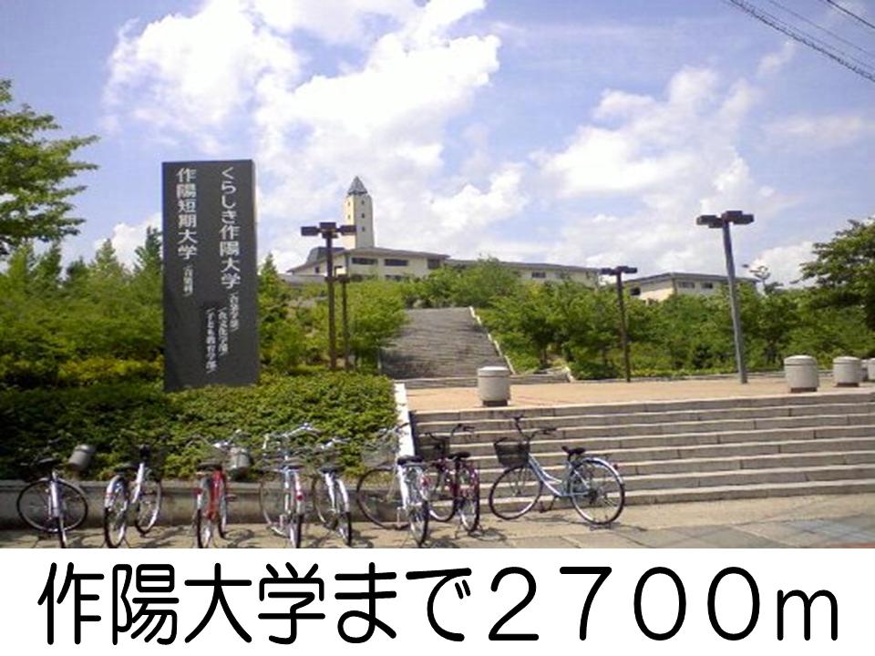 University ・ Junior college. Sakuhi University (University ・ 2700m up to junior college)