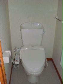 Toilet. Toilet