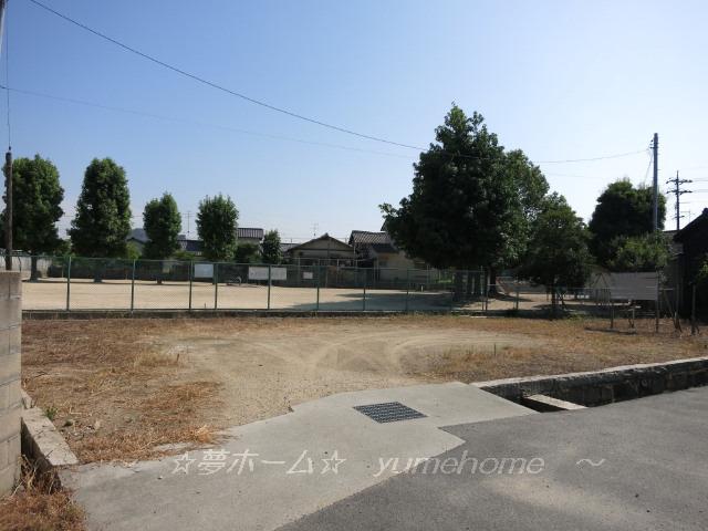 Local land photo