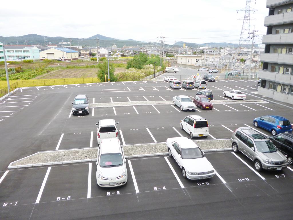 Parking lot. (=^ _ ^=)(=^ _ ^=)