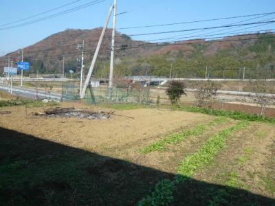 Other. field ・ Vegetable garden part