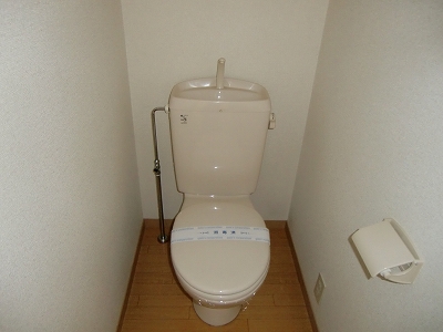 Toilet. It is similar photos of the same type. In fact the different
