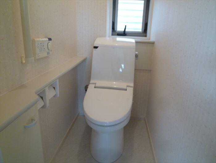 Toilet. Clean, new toilet