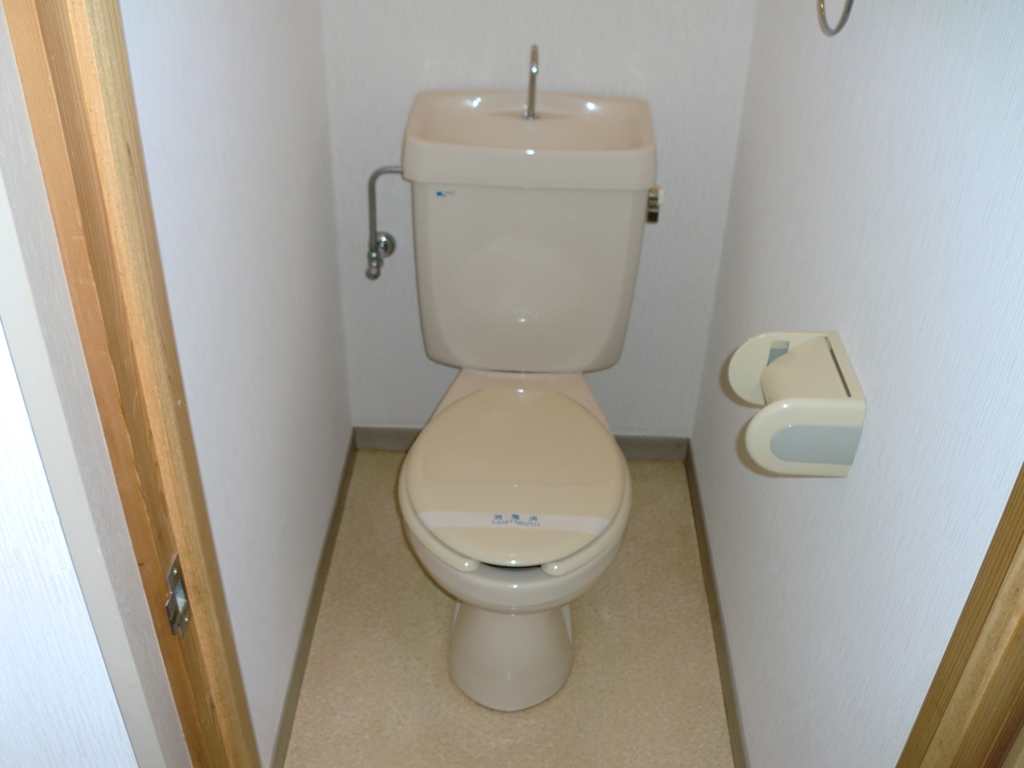 Toilet. It will be established warm water washing toilet seat.