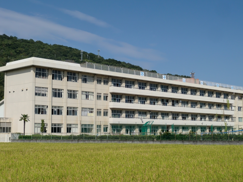Primary school. Mustard mountain 300m up to elementary school (elementary school)