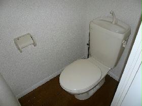 Toilet. Western-style toilet