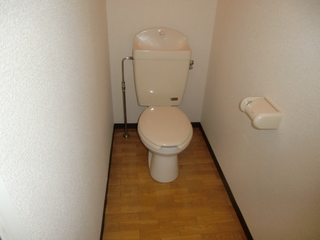 Toilet. It is a photograph of the same type of room. 