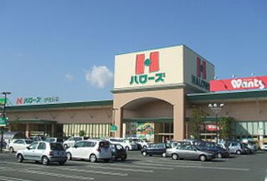 Supermarket. Hellos Tsudaka store up to (super) 2057m