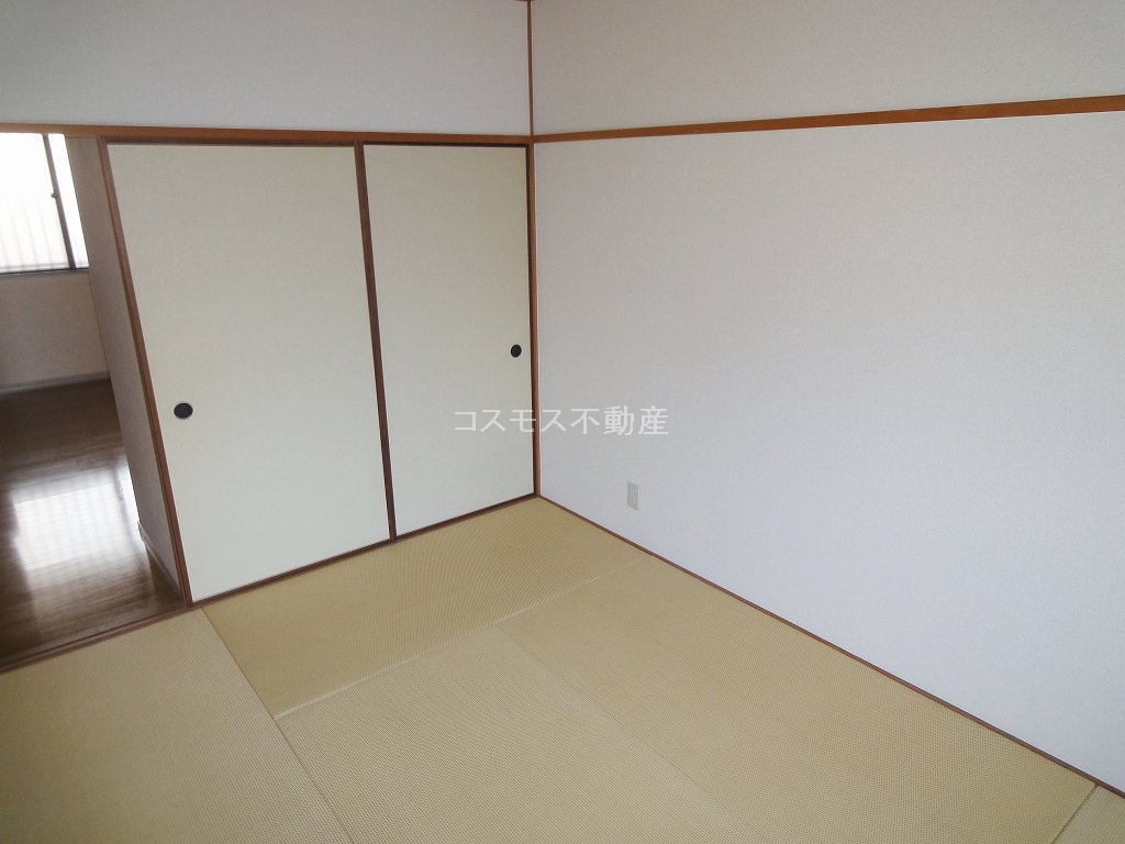 Other room space. Modern Japanese tatami