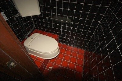 Toilet. WC