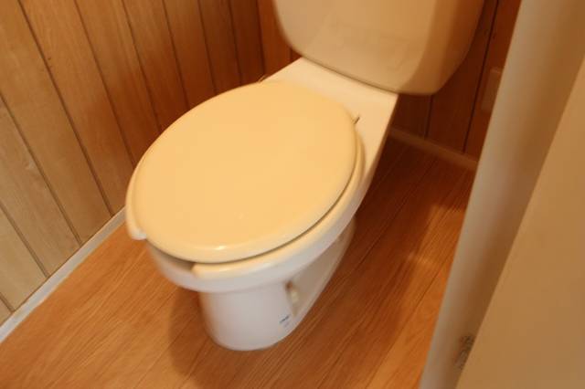 Toilet