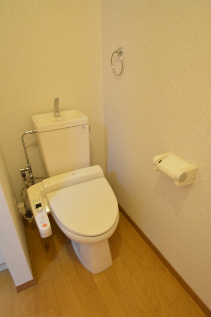 Toilet. With Washlet!