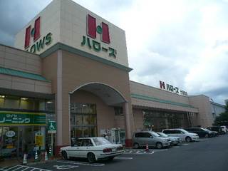 Supermarket. Hellos Tokashi store up to (super) 187m