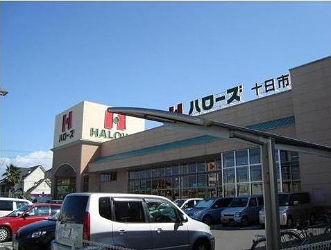 Supermarket. Hellos Hanajiri store up to (super) 524m