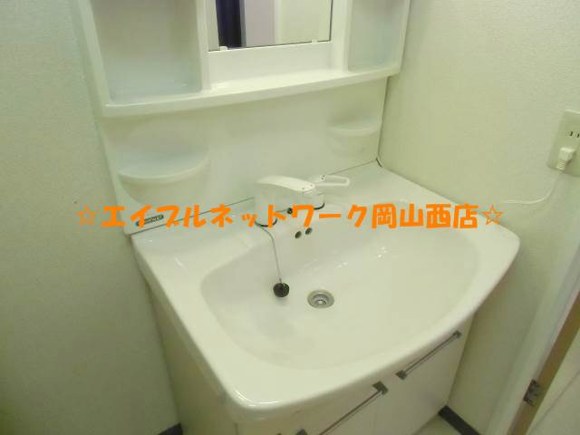 Washroom. It comes with shampoo dresser