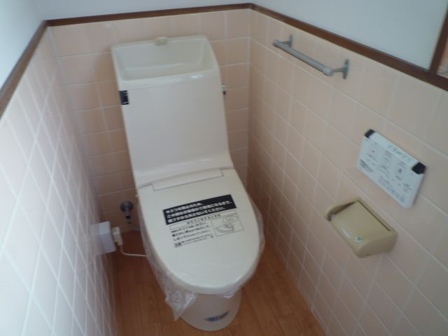 Toilet. It established the shower toilet.