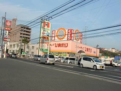 Dorakkusutoa. Super drag sunflower 670m to (drugstore)