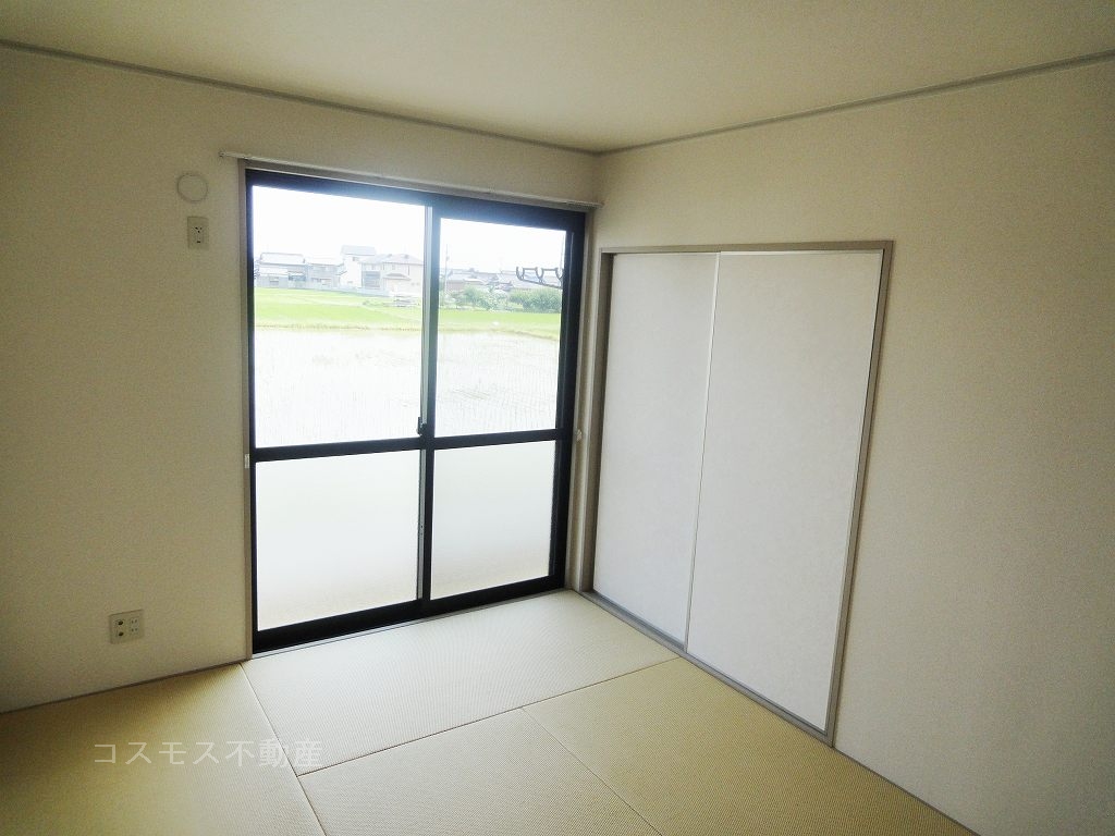 Other room space. Modern Japanese tatami