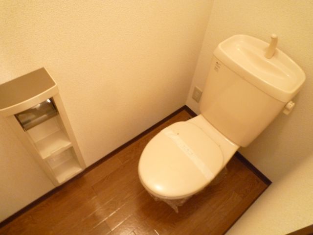 Toilet. A clean toilet.