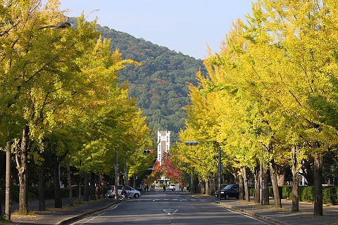 Other. 1000m to Okayama University (Other)