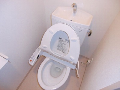 Toilet. Toilet