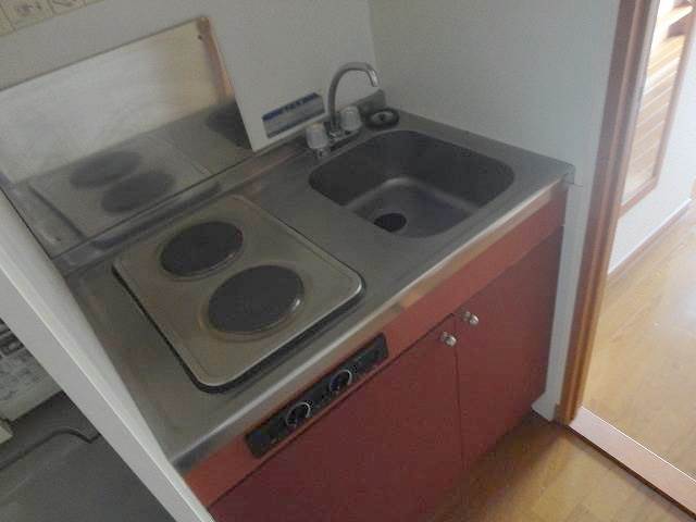 Kitchen. Electric stove 2-neck