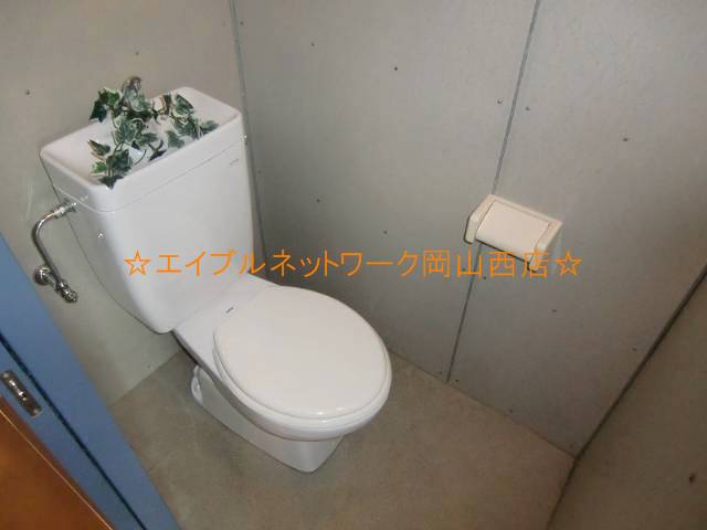 Toilet. Clean toilet