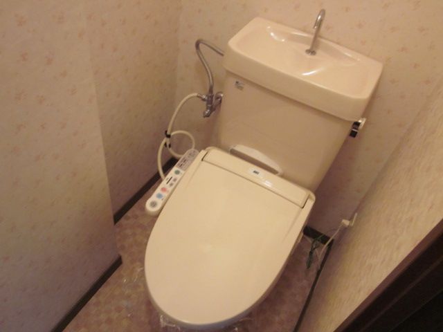 Toilet. Toilet